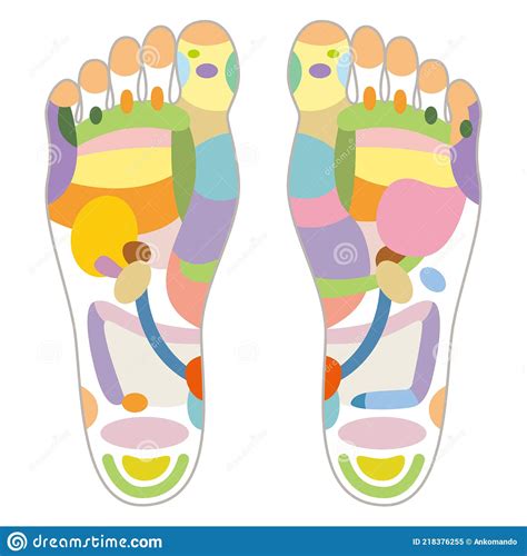 Reflexology Foot Massage Points Reflexology Zones Massage Signs And