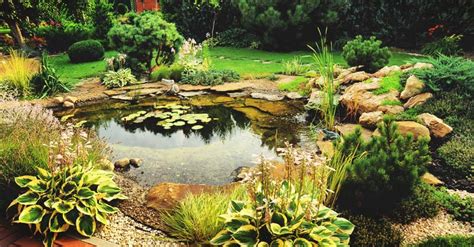 Now, we figure if a retired schoolteacher can build a pond in a weekend, so can you. How to Build a Beautiful Backyard Pond in 11 Steps