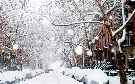 Best Things To Do In New York City In Winter Forestdoggy