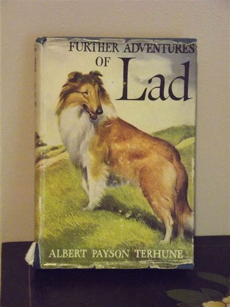 Dog Story Further Adventures Of Lad By Albert Payson Terhune ~ Hc 1922
