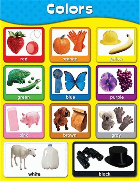 Kids Learning Color Chart