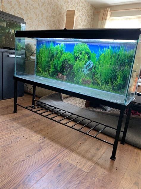 4 Ft Aquarium With Stand In Rattray Perth And Kinross Gumtree