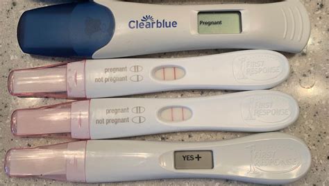 Evaporation Bleeding And Faint Lines Understanding Pregnancy Tests