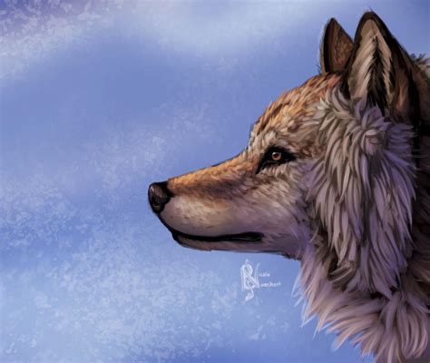 Red Wolf Speedpaint By Kuvari On Deviantart
