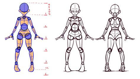Images Of A Human Body Front And Back Mans Template Figure Stock