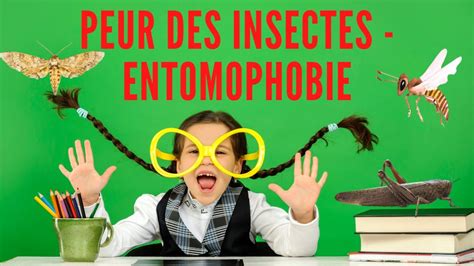 Comment Ne Plus Avoir Peur Des Insectes Ou Entomophobie YouTube
