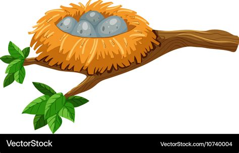 Four Eggs In Bird Nest Royalty Free Vector Image