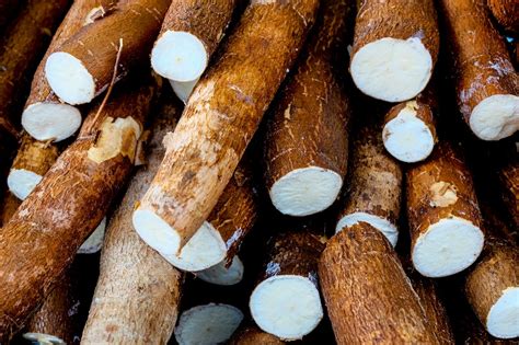 We did not find results for: Traditional cassava dishes in Brazil