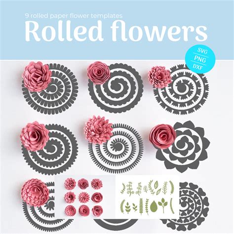 Rolled Flower Svg Paper Flower Template Svg Cut File Masterbundles