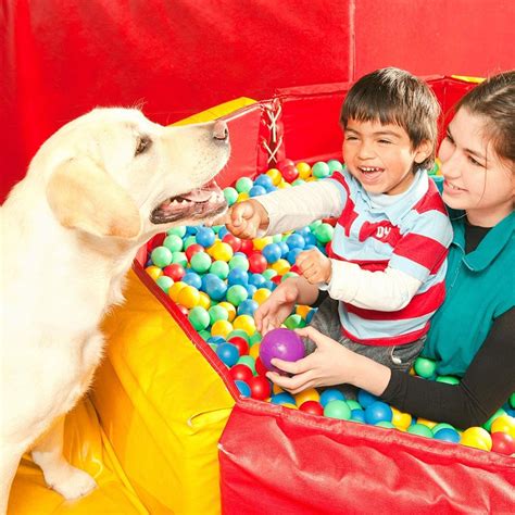 Animal assisted psychotherapy & animal assisted learning training and certification. Animal Assisted Therapy Diploma Course - Centre of Excellence