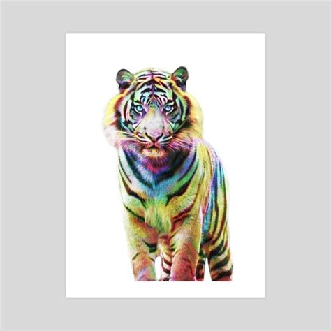 Colorful Tiger An Art Print By Julien Kaltnecker Inprnt