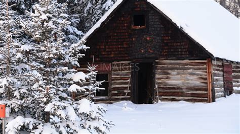 Log Cabin Wallpaper 61 Images