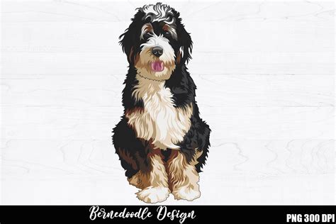 Bernedoodle Sublimation Graphic By Withoutdreamsplease · Creative Fabrica