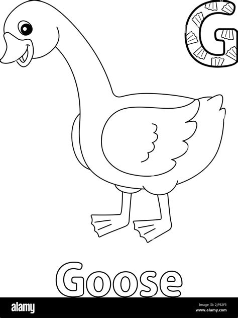 Goose Alphabet Abc Coloring Page G Stock Vector Image And Art Alamy