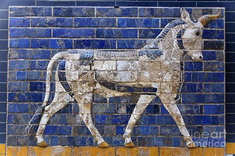 Relief From Ishtar Gate In Babylon Photograph By Robert Preston