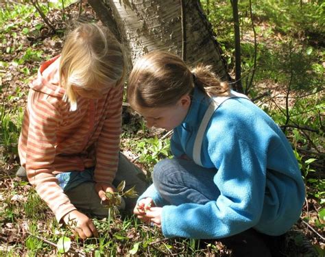 Foraging expert leads edible wild plant workshop at Merryspring ...