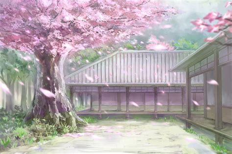 Anime Scenery Cherry Blossoms Tree Wallpaper 1700x1133 1018349