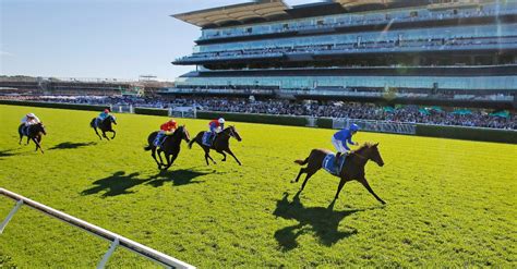 Winx Stakes Tips Free Betting Previews And Best Bets For The 2022 Winx