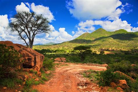 We did not find results for: Savanna landscape in Kenya, Africa ~ Nature Photos on ...