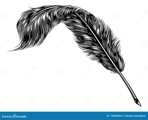 Writing Quill Feather Ink Pen Stock Vector Illustration Of Quil Hand