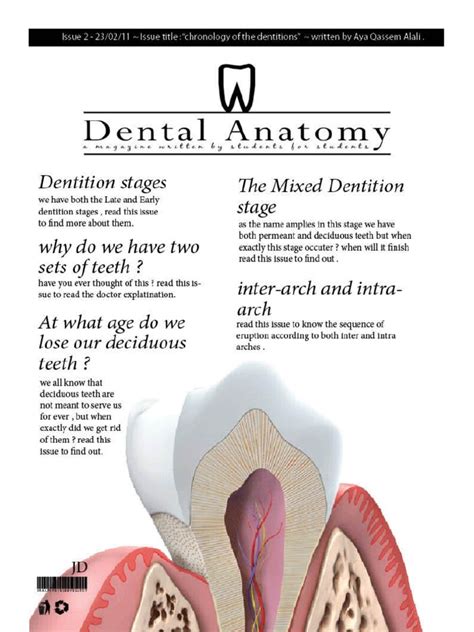 Dental Anatomy Lecture 2 Tooth Dentistry Branches Prueba