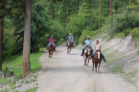 Artemis Acres Paint Horse Ranch Kalispell 2020 All You Need To Know