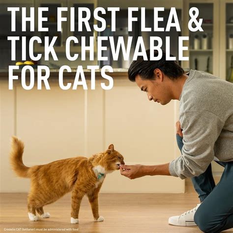 Credelio Cat Flea And Tick Chewable Tablets Allivet