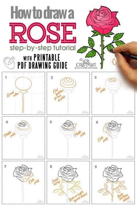 Learn How To Draw A Rose In 10 Easy Steps Use Our Printable Guide For