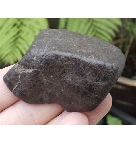 Fossils 107g Nwa 869 Stony Chondrite Meteorite
