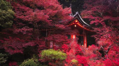 1920x1080 Kyoto Wallpapers Top Free 1920x1080 Kyoto Backgrounds