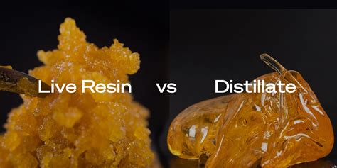 Live Resin Vs Distillate Whats The Difference