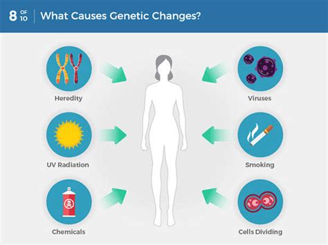 The Genetics Of Cancer Nci