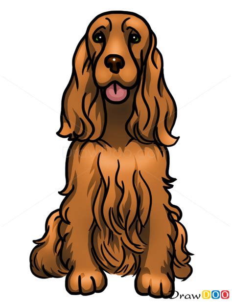 The steps are easy and very clear to follow because this course is beginner friendly. How to Draw Cocker Spaniel, Dogs and Puppies