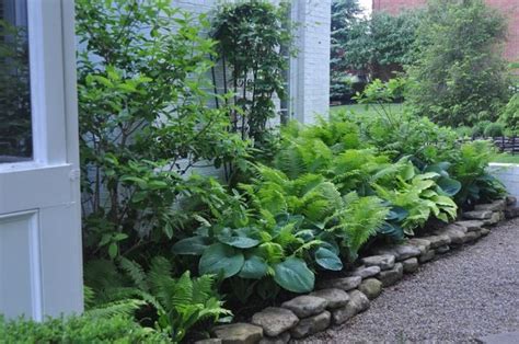 Hostas And Ferns Are Best Friends In A Shady Border You Can Even Plant