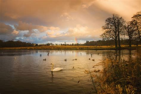 Richmond Park A Guide For Photographers And Visitors Simon Wilkes