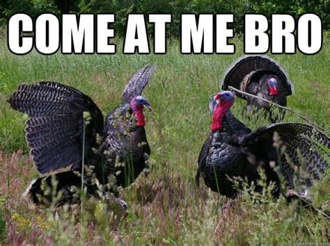 Türk sanatçıların şarkılarına çektikleri kliplerde görme şansına mazhar olduğumuz 6 meme ucu. Intimidating Turkey memes | quickmeme