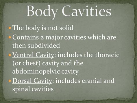 Ppt Body Cavities And Directional Terms Powerpoint Presentation Free Download Id 2712140