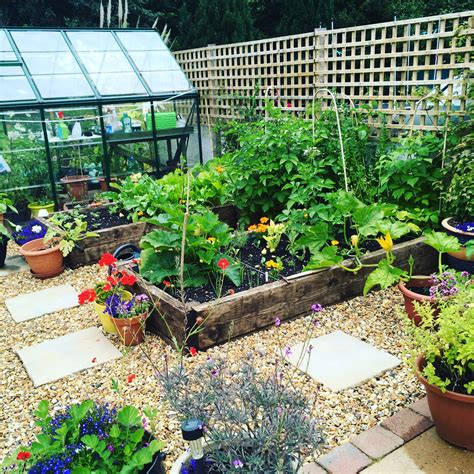 Pin By Lesley Moffat On Veg Plots And Garden Ideas Plants Garden