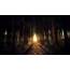 Dark Railway Sunlight Forest Trees Wallpapers HD / Desktop And 