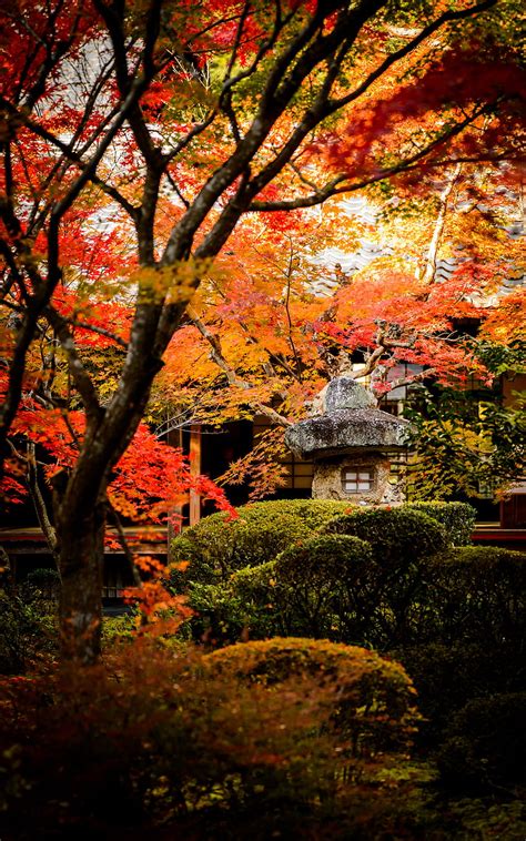 Jeffrey Friedls Blog More Japanese Autumn Zen Garden Hd Phone