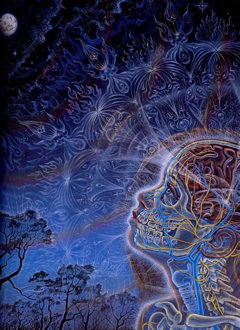 17 Best Images About The Art Of Alex Grey On Pinterest