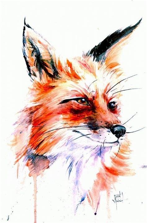 Лисичка рыжая Иллюстрации лисы Рисунок лисы Животные