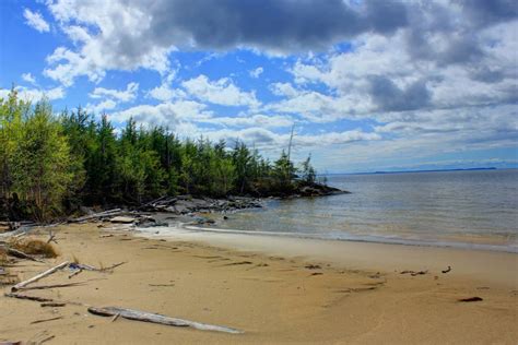Forest And Lakeshore At Lake Nipigon Ontario Canada Image Free Photo