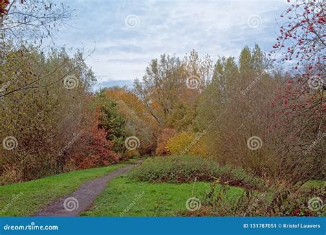Path Along Autumn Trees In Bourgoyen Nature Reserve Stock Image