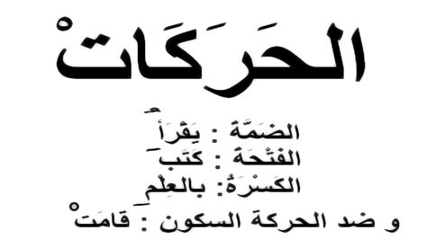 تعلم التشكيل في اللغة العربية