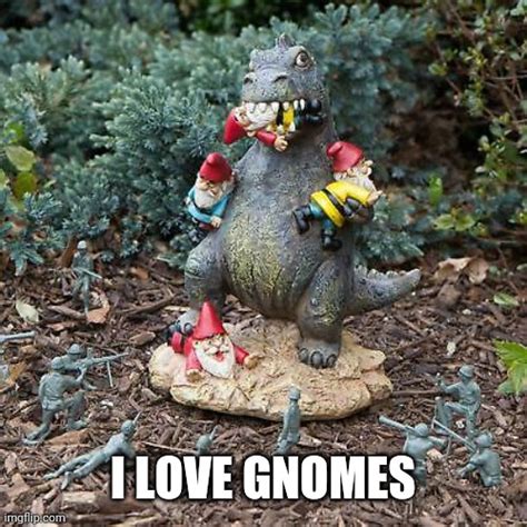 This  Is Gnomed Imgflip
