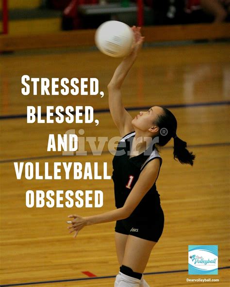 37 Volleyball Motivational Quotes And Images That Inspire Success Artofit