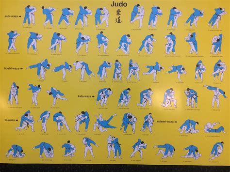 Judo Poster Tachi Waza Technieken Nihojptw