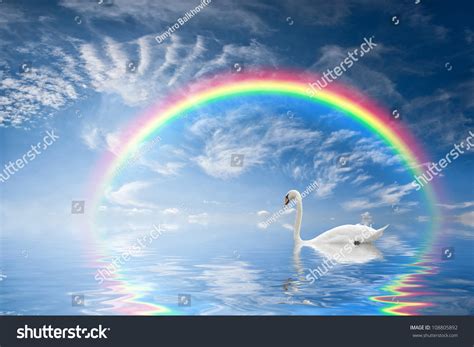 Beautiful Seascape Rainbow Reflection Water Floating Stock