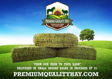 Premium Quality Hay Premium Quality Hay Farm Bales Of Hay